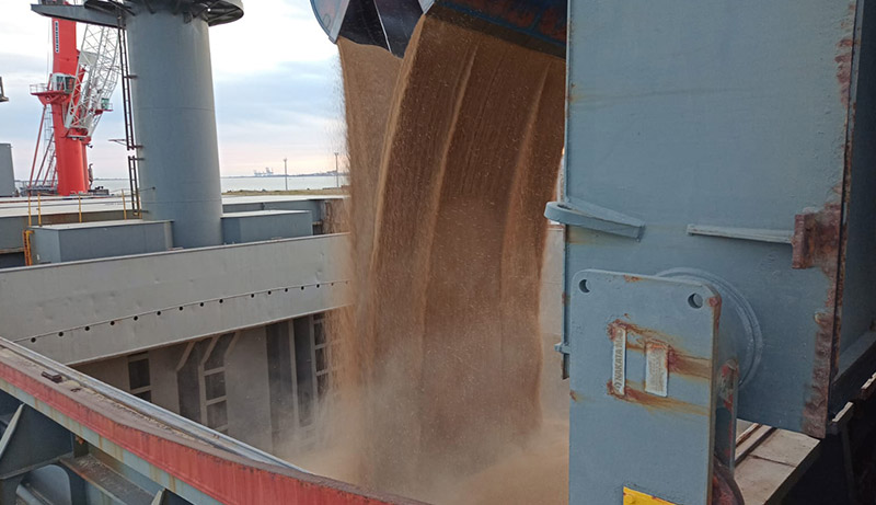 Transporte marítimo de carga no Brasil e exterior